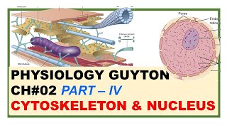 Chp#2(Part-IV) Guyton Physio | Cytoskeleton \u0026 Nucleus | Cell \u0026 Its Functions | Guyton Physiology