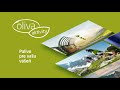 oliva aktivity palivo pre vašu vášeň paragliding skalnaté pleso