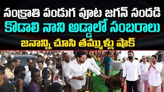 YS Jagan in Sankranthi Festival Celebrations : Varadhi News