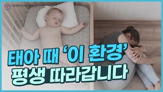 태아 때 이것을 피하지 않으면 성인이 되어서까지 문제를 일으킵니다 | 호흡기 유해환경 ep.2