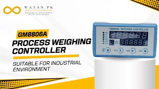 Discover the GM8806A Process Weighing Controller from General Measure, China