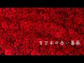 ♪百万本の赤い薔薇♪ 桑田佳祐 cover