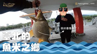 【公園釣遊】臺北的魚米之鄉，大湖公園 | FISHING BIKER 釣魚頻道 Feat.阿縉