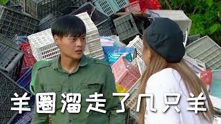 【戶外捕魚VLOG】隔壁大哥家的羊圈溜走了幾只羊，用自製傳統陷阱抓羊，沒想到效果這麼好