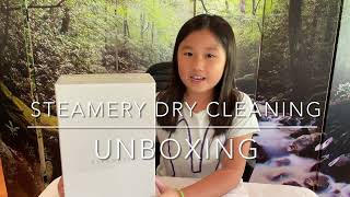 Steamery Stockholm Dry Cleaning Wand Unboxing - Cirrus No. 2 Steamer - Gemelle Channel