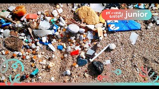 Che cosa sono le microplastiche e quali rischi comportano per gli ecosistemi?