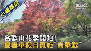 合歡山花季開跑! 憂塞車假日實施「高乘載」｜TVBS新聞