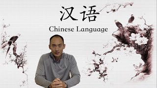 B-Chinese Language-Opening Presentation-How to learn Chinese?