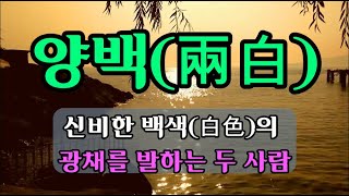 양백兩白~하도(河圖)와 낙서(洛書)를 가리키는 것이라고 보는가 하면 선후천을 개벽하는 과정이라고 하는 이도 있고, 신비한 백색(白色)의 광채를 발하는 두 사람의 천사로 보는 견해.