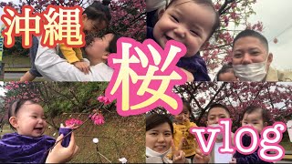 YouTube始めました！(vlog)沖縄 桜🌸