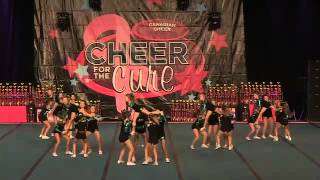 C4TC 2014 - LY2 - Cheer Sport Piked Sharks