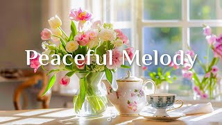 아침 햇살 속의 즐거운 노트, 따뜻한 아침 - Peaceful Melody - Peaceful Piano Scenes