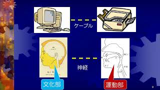 ことば・食べることの障害と言語聴覚士の仕事