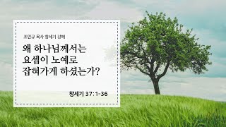 [민족과열방교회] 수요예배 2023년 6월 21일 | 왜 하나님께서는 요셉이 노예로 잡혀가게 하셨는가? - 조민규 목사 [창세기 37장 1-36절]