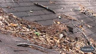 ASR - 3 Tips to Prepare Your Roof for Winter