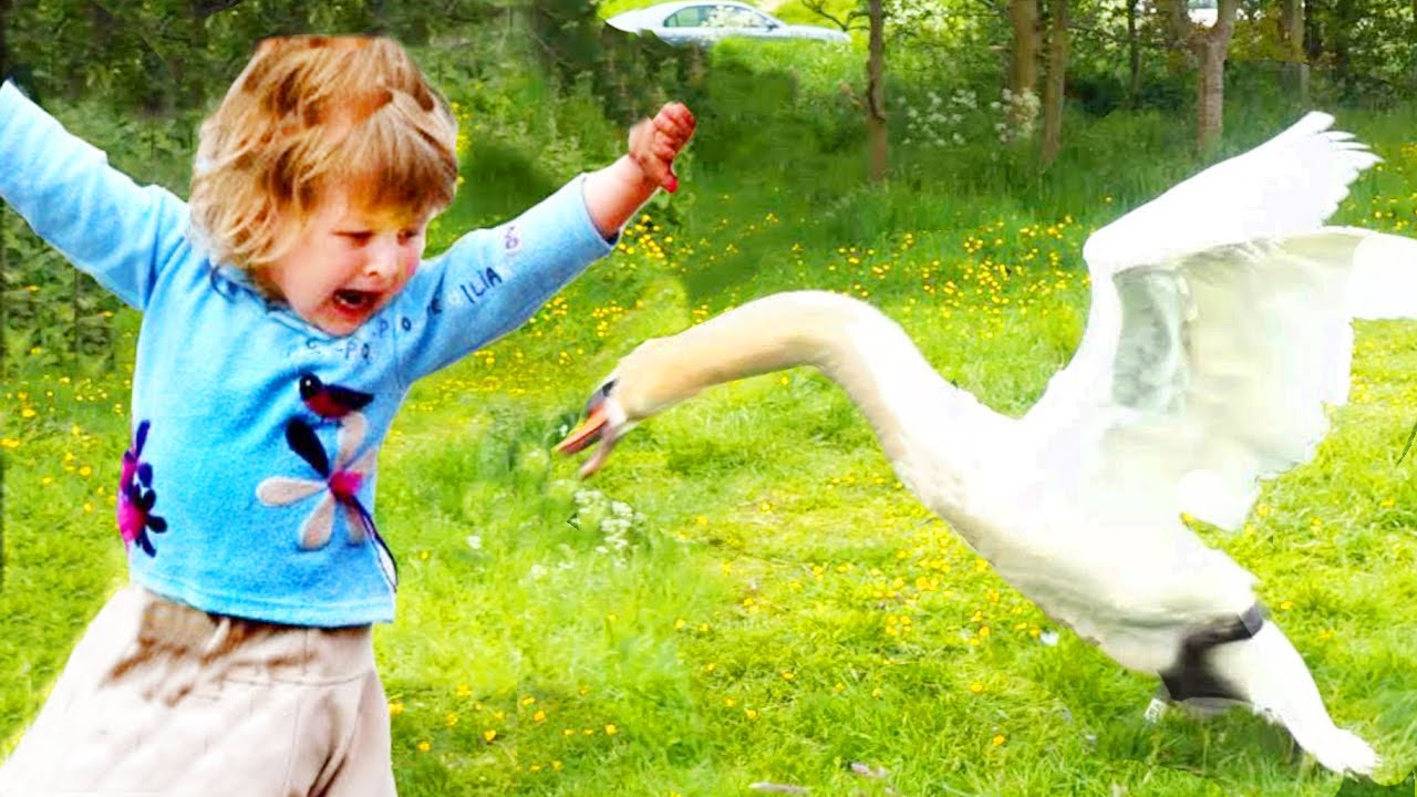 Funniest Baby And Animal Compilation Video 3 Youtube