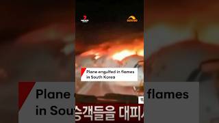 Plane engulfed in flames in South Korea