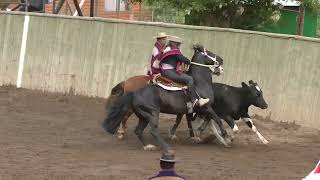 RODEO CLUB LIMACHE 27 - 28 OCTUBRE 2023       CAMPEONES