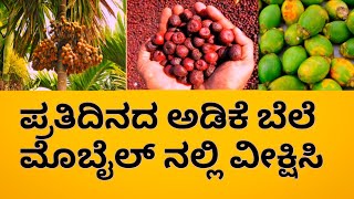 Today arecanut price |Shivamogga arecunut price |shivamogga APMC arecunut price