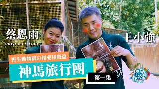 蔡恩雨王小強初次碰面，野生動物園上演相愛相殺戲碼 【神馬旅行團 】第一集