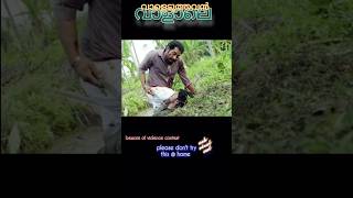 ഒരു സമൂഹത്തെ വഴിപിഴപ്പിക്കണ ആളുകൾ #short #cutpicks #viralshorts