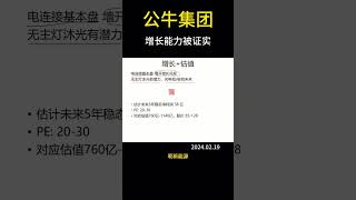 公牛集团解读