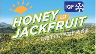 The 3 Secrets About J33 Super Jackfruit 1.0