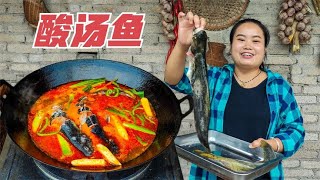 30元买了2条鲶鱼，做贵州酸汤鱼，酸辣开胃，下饭太香了【梅子美食】