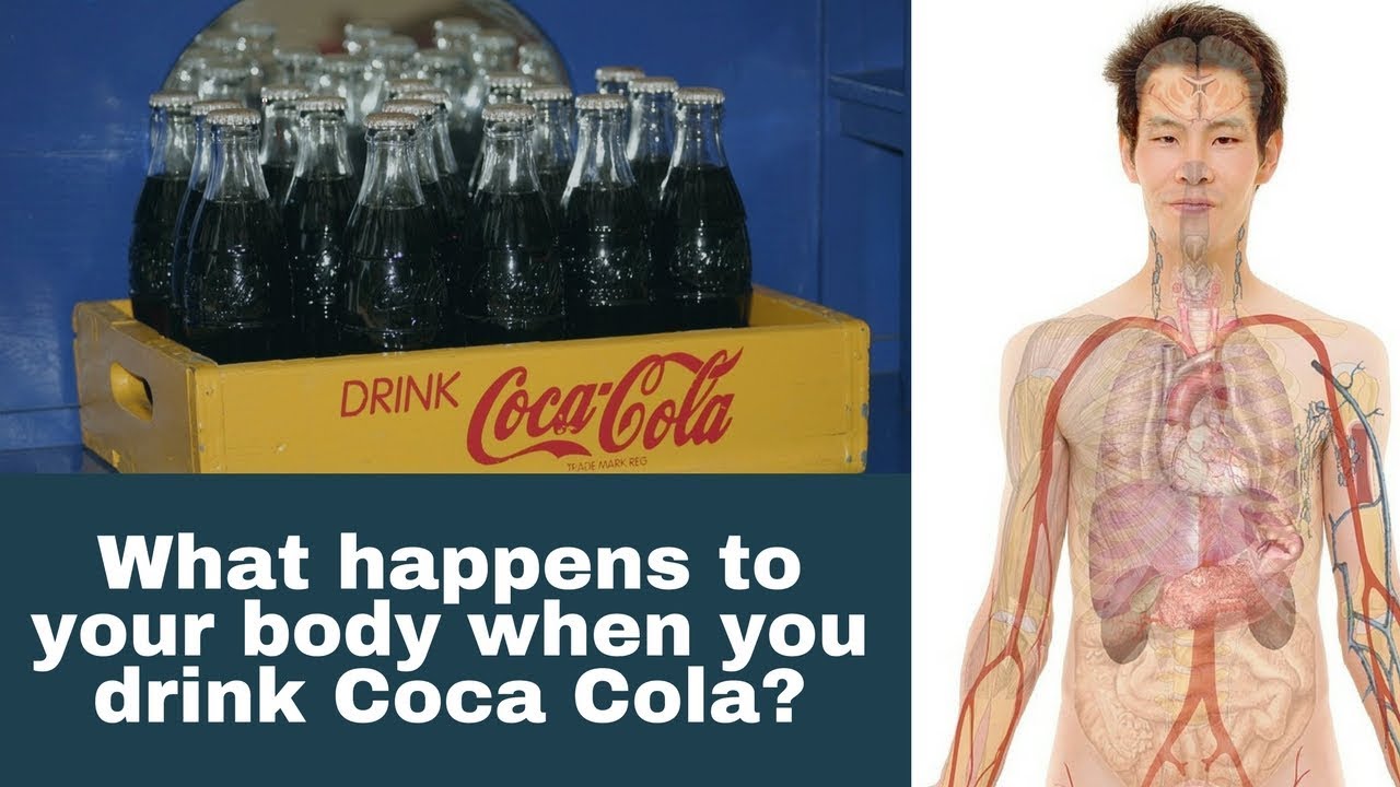 What Happens To Your Body When You Drink Diet Coke Every Day - YouTube