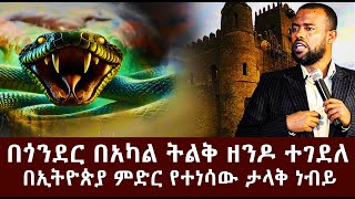 በኢትዮጵያ ምድር የተነሳው ታላቅ ነብይ/በጎንደር በአካል ትልቅ ዘንዶ ተገደለ #ethiopia #gonder #semen #snake #news #fano #zena