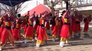 ダンスチ－ム凛 (がむしゃら) 2015/02/08(日) 一祭合祭