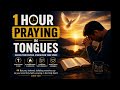 1 Hour Praying in Tongues | Deep Holy Spirit Prayer for Faith, Peace & Spiritual Renewal