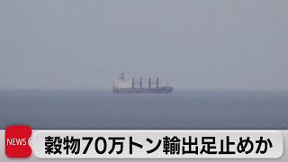 ウクライナ穀物70万トン輸出足止めか（2022年10月31日）