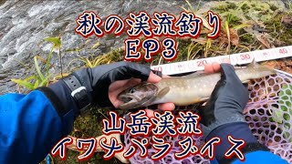 秋の渓流釣りEpisode3山岳渓流イワナパラダイス【渓流釣り北海道】