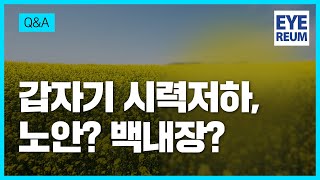 [아이리움안과] 갑자기 시력저하? 노안 백내장 증상은?