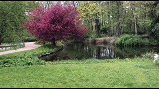 Tiergarten, The most Popular City park of berlin  🇩🇪 Germany