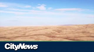 Southern Alberta prairie grasslands, wetlands protected