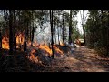 ‘Cringeworthy’ to mention bushfires are all to do with climate change