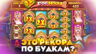 ЭТО СНОВА ЗАНОС В THE DOG HOUSE DOG OR ALIVE!? КУПИЛ БОНУС ALL IN И ПОЙМАЛ 25 СПИНОВ / ПРОСТО ЖЕСТЬ!