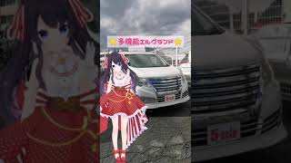 カスタム×多機能なエルグランドをご紹介！ #Shorts