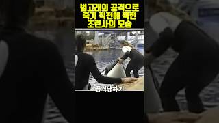 어디에서도 본적 없는 흥미로운 사진들 PART.46