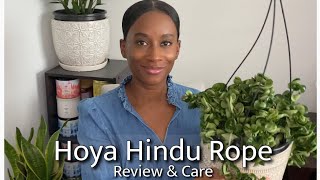 Hoya Carnosa Compacta Review & Care I Hindu Rope I JerseyWifeJerseyLife