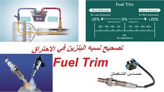 تصحيح نسبه البنزين في خليط الاحتراق و حل مشاكل استهلاك البنزين . Fuel trim long term and short term