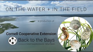 On The Water show 23 Back To the Bays Update with Scott Bluedorn