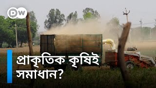 পরিবেশ বাঁচাতে প্রাকৃতিক কৃষি