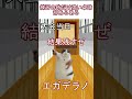 【猫ミーム】練習の時だけ強い卓球部あるある 猫ミーム 猫マニ 雑学 天国