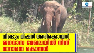 Arikomban Elephant |  വീണ്ടും മിഷൻ അരിക്കൊമ്പൻ;  ജനവാസ മേഖലയിൽ നിന്ന് മാറാതെ കൊമ്പൻ