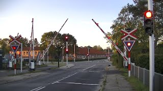 Spoorwegovergang Svejbæk (DK) // Railroad crossing // Jernbaneoverskæring