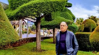 Victor Graeff RS Praça das Esculturas Verdes